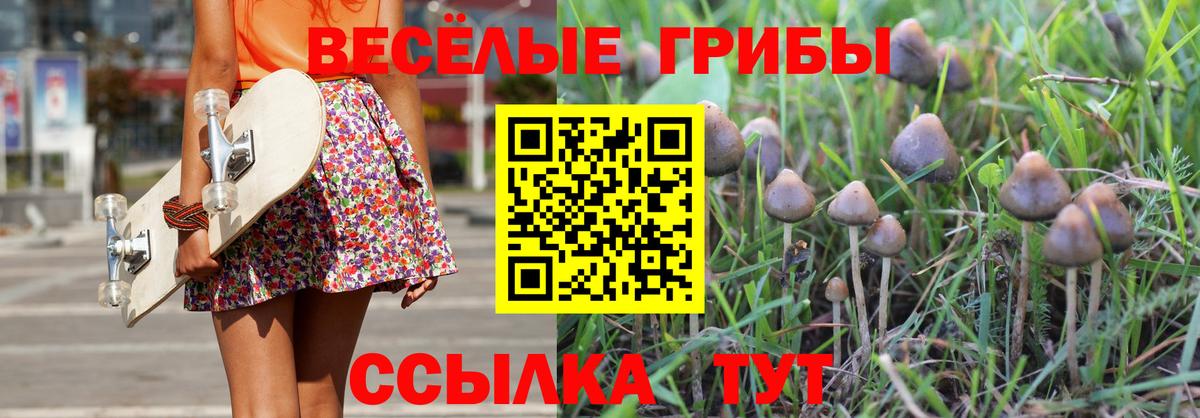 купить наркотик  Галлюциногенные грибы Cubensis  Вход с VPN  Россия 